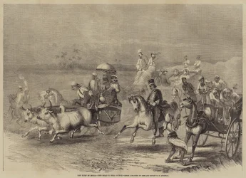 De Turf in India, de Weg naar de Baan